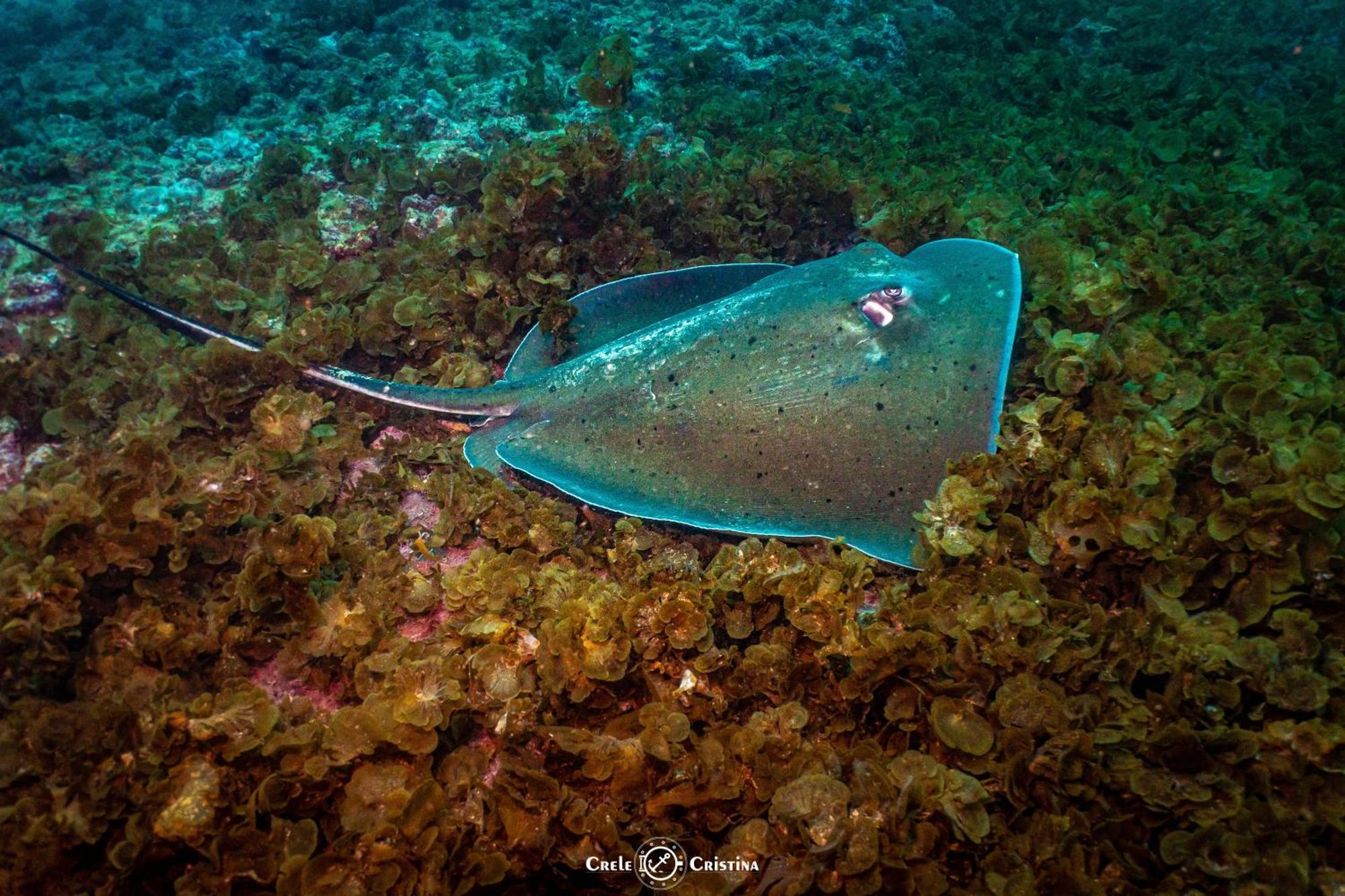 Pensão Bahia Porto Seguro